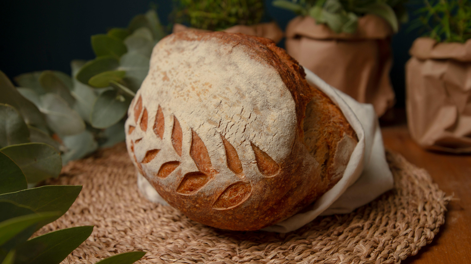 Hand-scored sourdough
